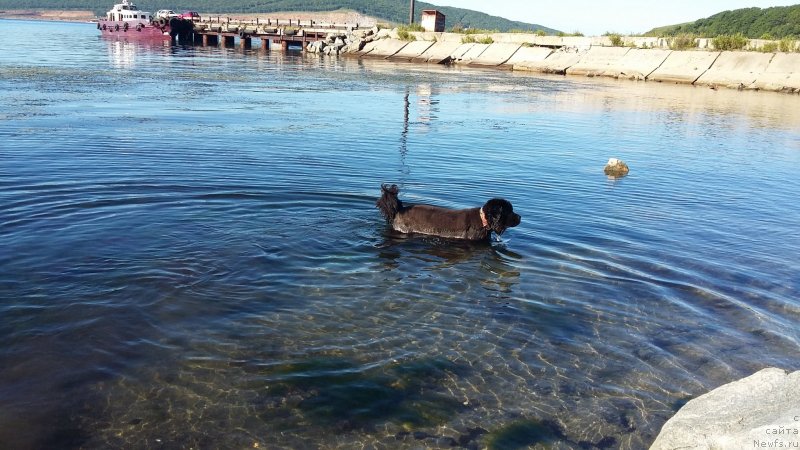 Фотография № 237701