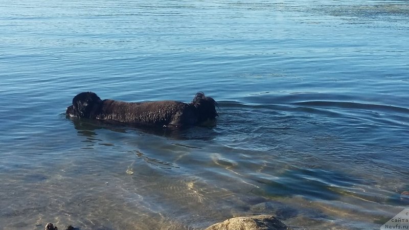 Фотография № 237702