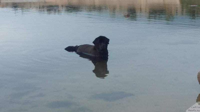 Фотография № 237703