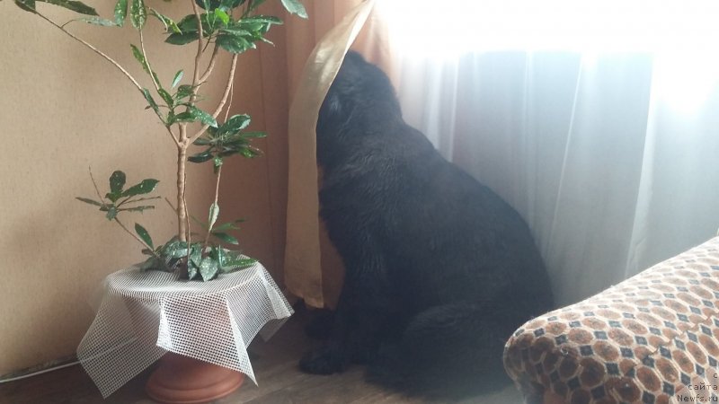 Фотография № 237705