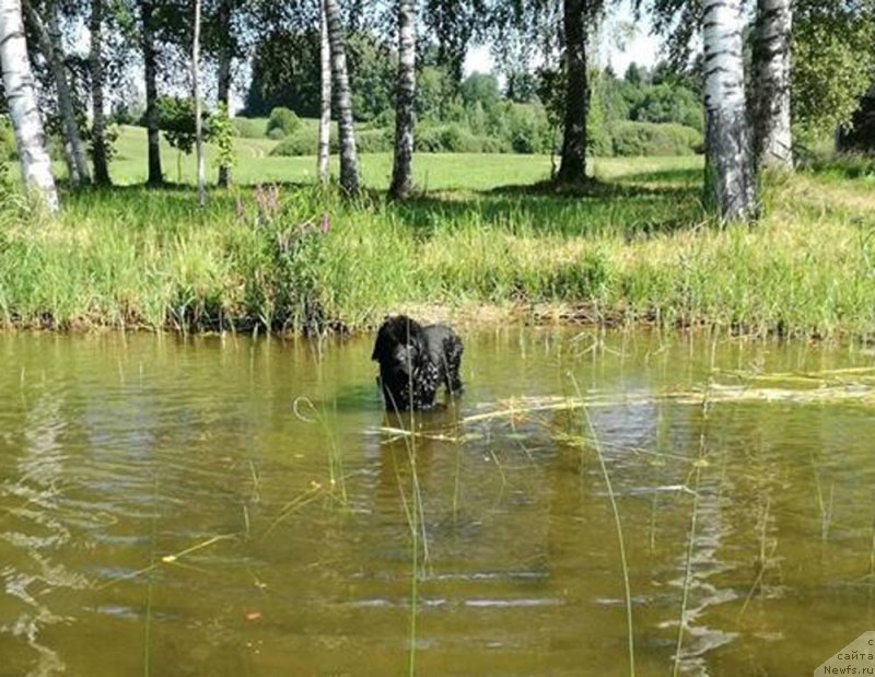 Фотография № 237772