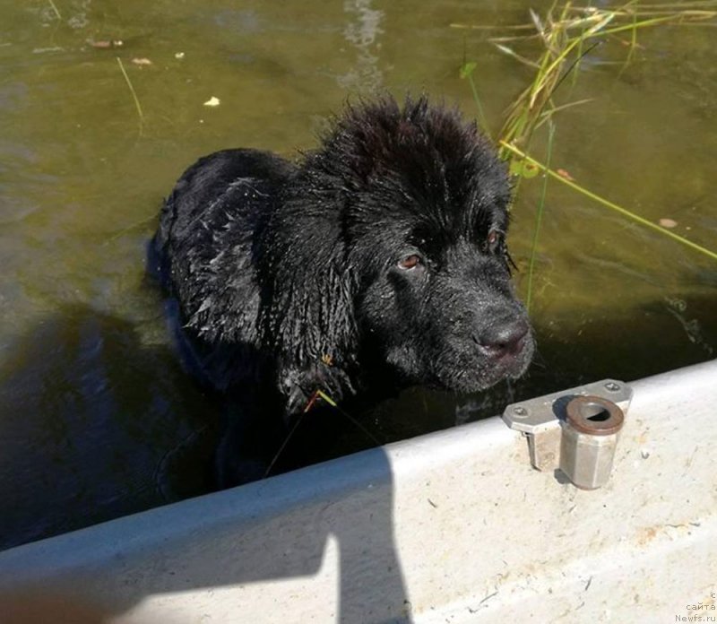 Фотография № 237773