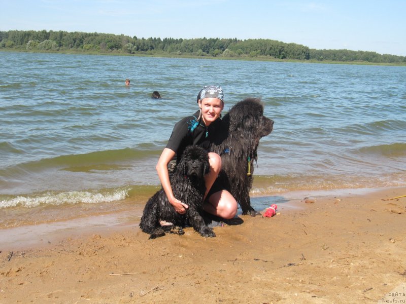 Фото: ньюфаундленд Риччи с Берега Дона (Richchi s Berega Dona), ньюфаундленд Дюрбахлер Клаб Альфаретта Виньетта, Анастасия Киреева