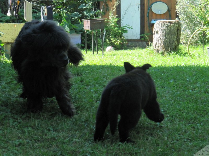 Фотография № 237777