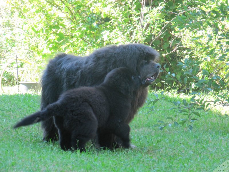 Фотография № 237781