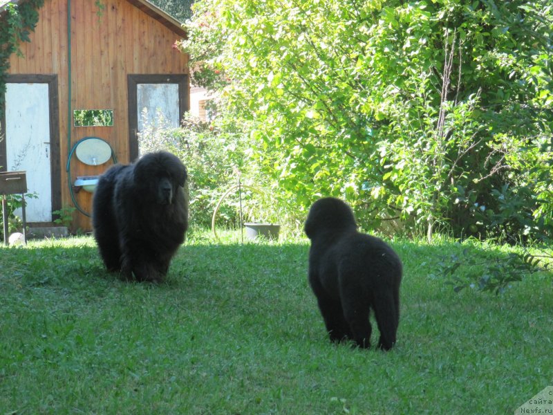 Фотография № 237785