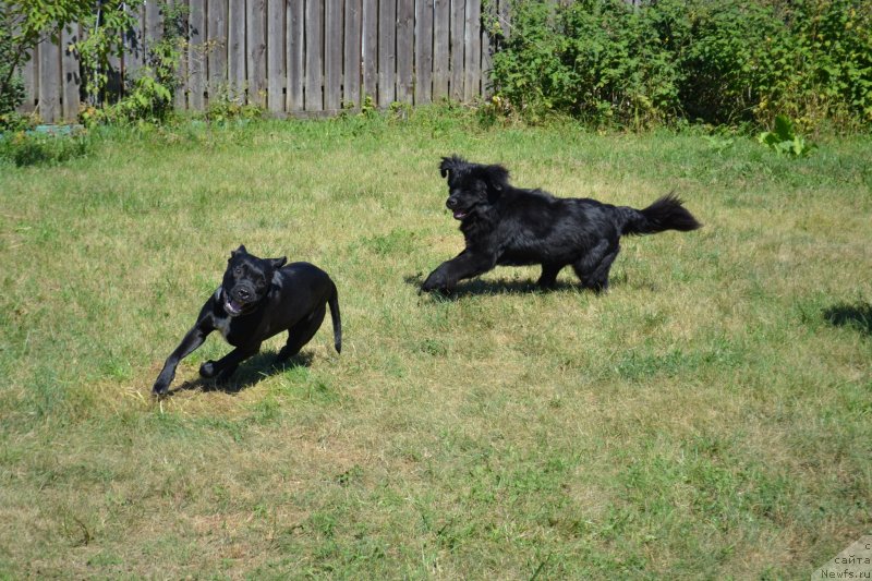 Фотография № 237787