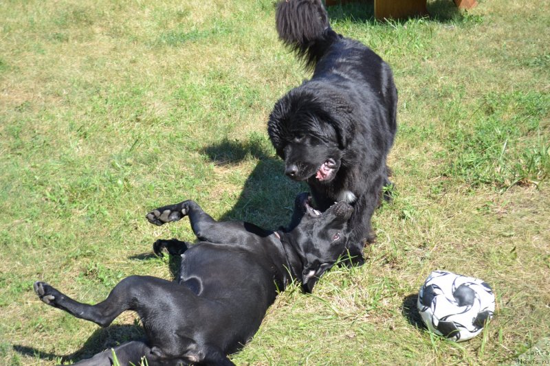 Фотография № 237788