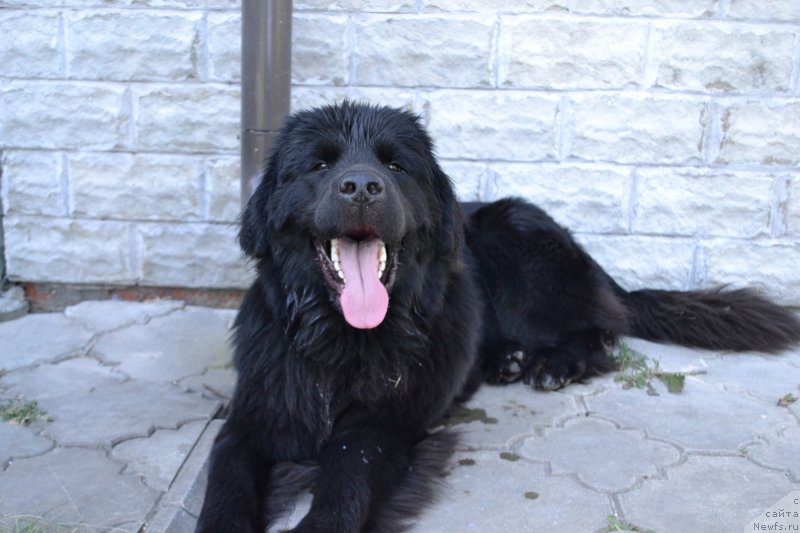 Фотография № 237795