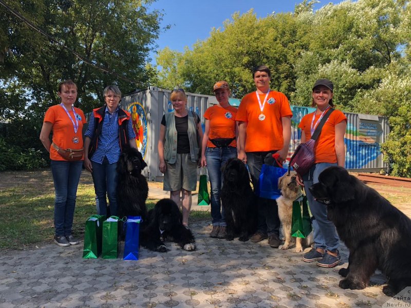 Фотография № 237796