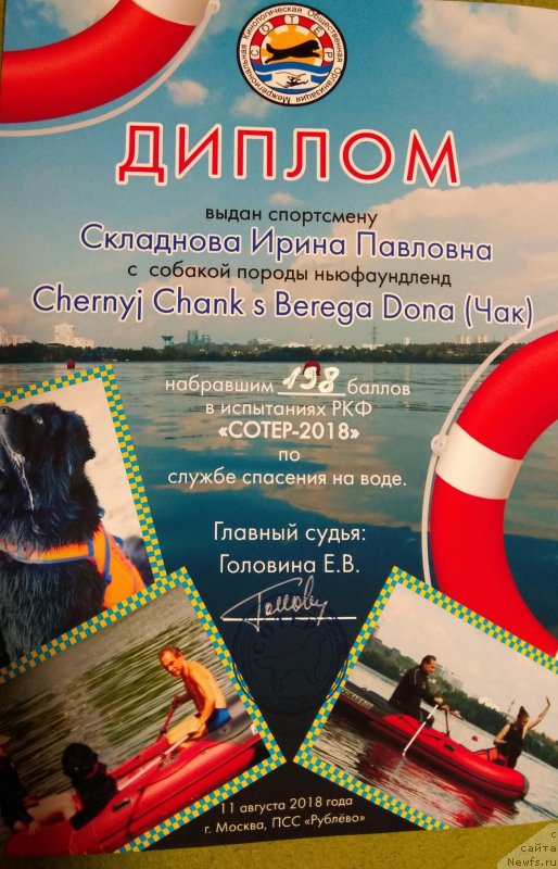 Фотография № 237797