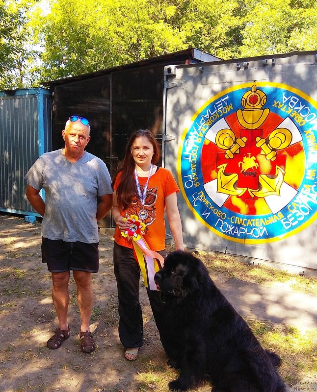 Фотография № 237798