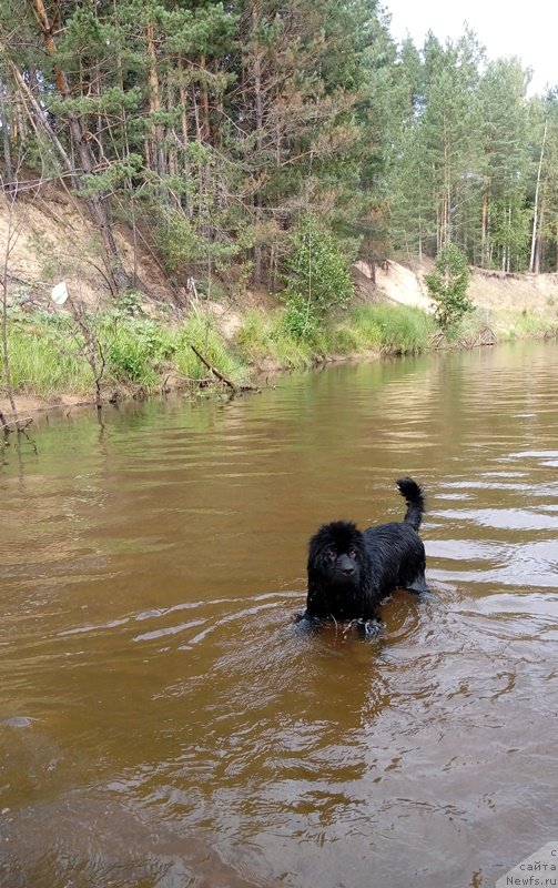 Фотография № 237815