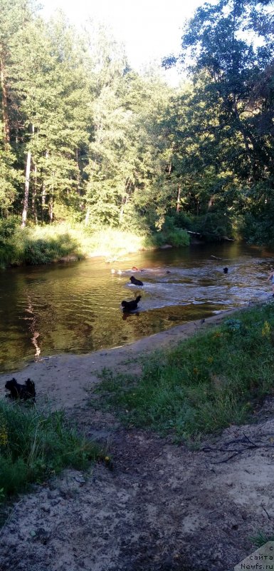 Фотография № 237817