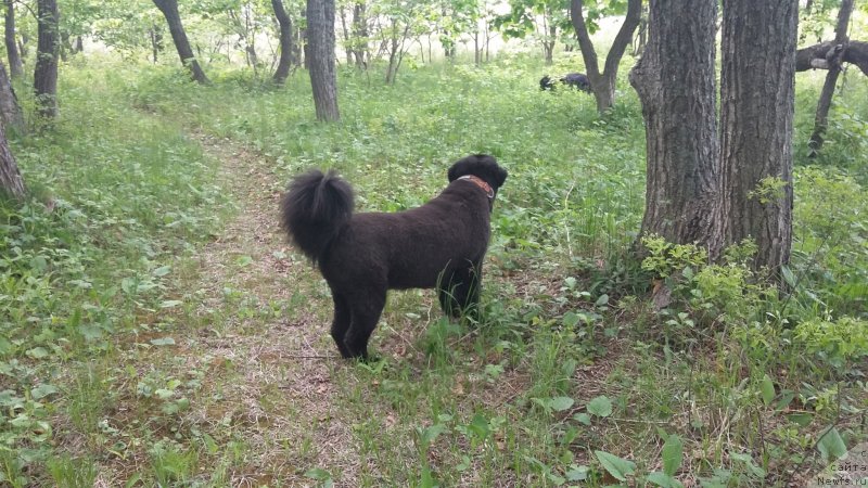 Фотография № 237818