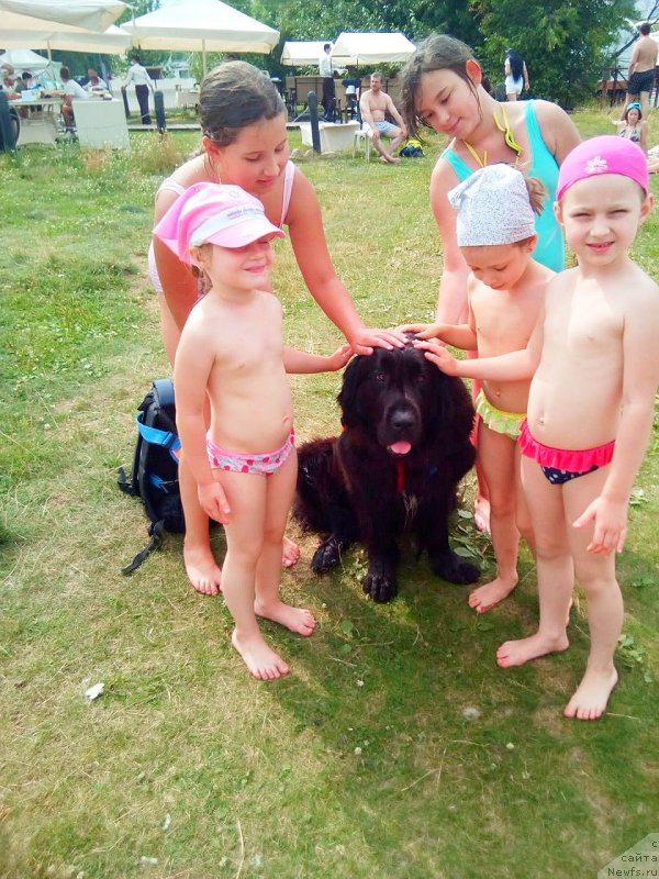 Фотография № 237825