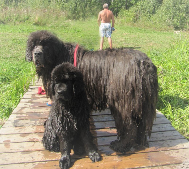 Фотография № 237835