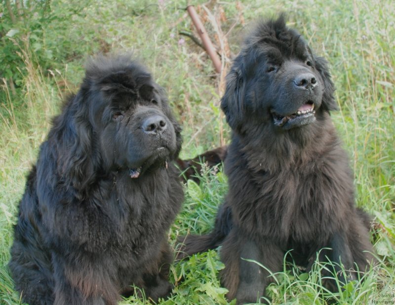 Фотография № 237836