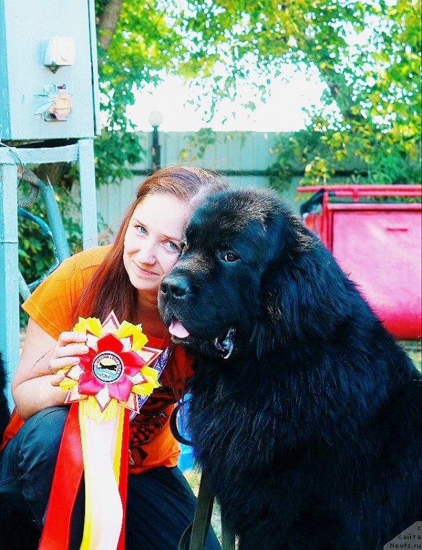 Фотография № 237840