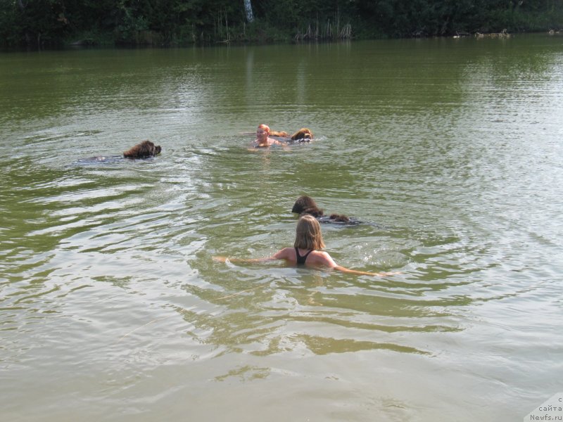 Фотография № 237841