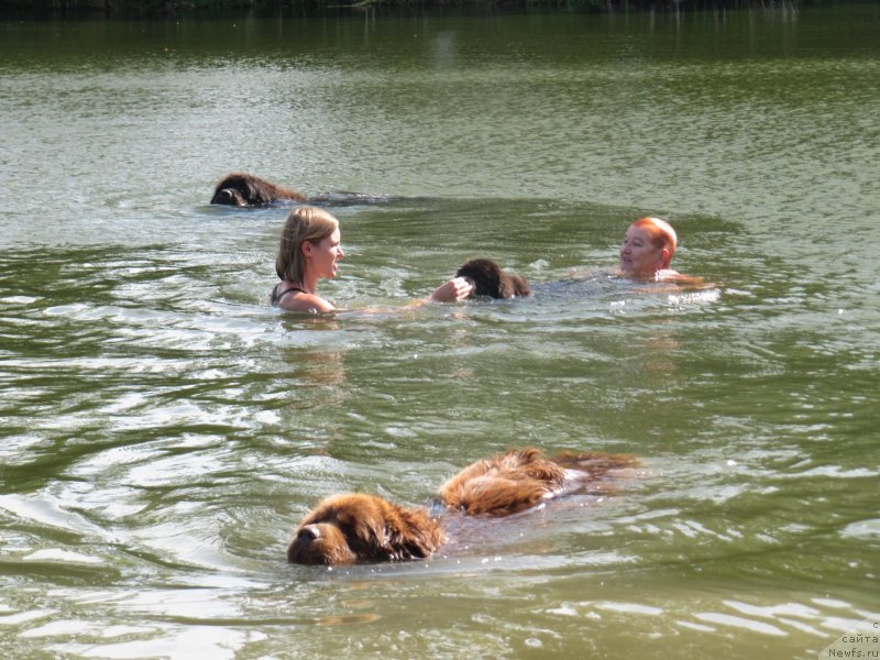 Фотография № 237843