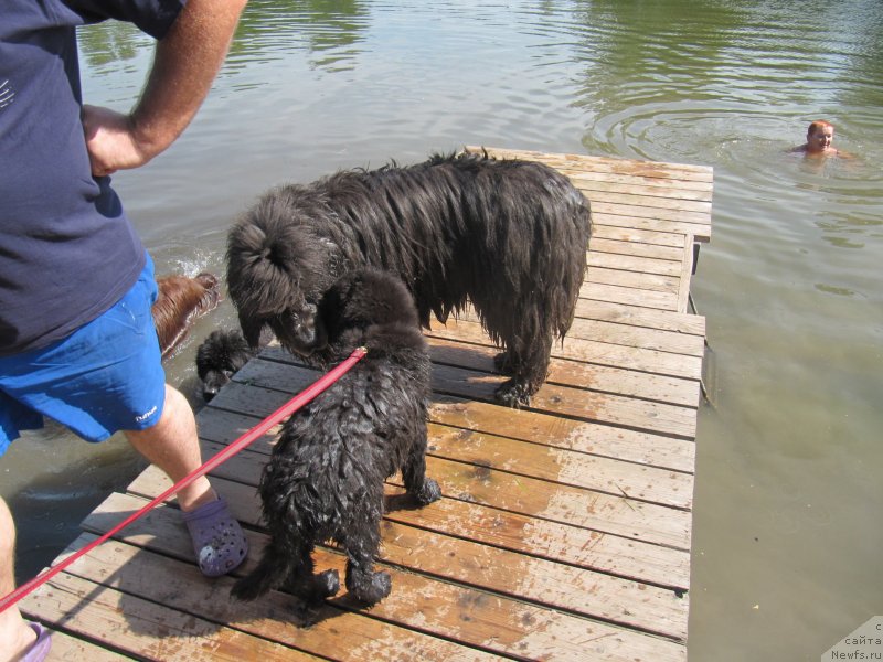 Фотография № 237845