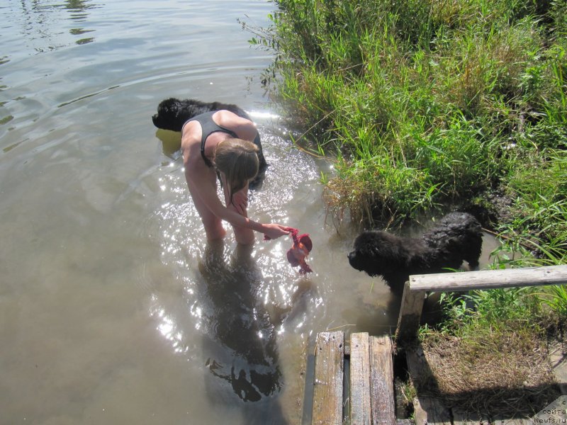 Фотография № 237847