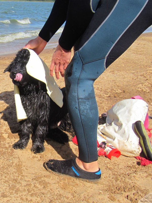 Фотография № 237855