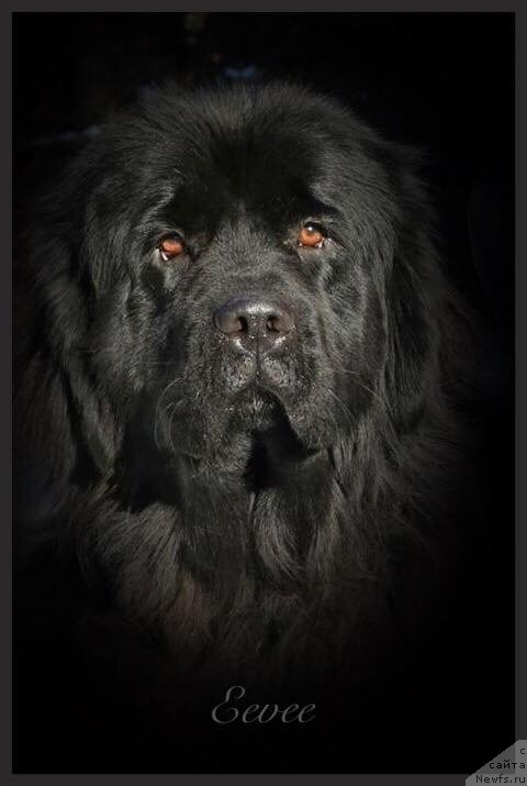 Фотография № 237869