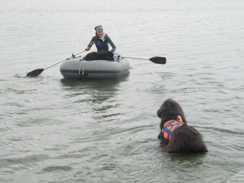 Фотография № 237889