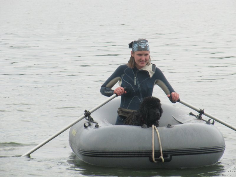 Фотография № 237890