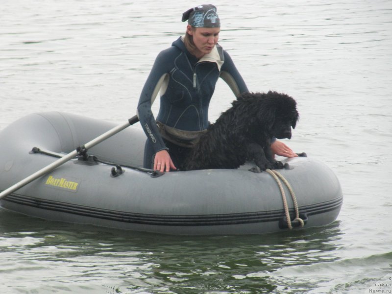 Фотография № 237891