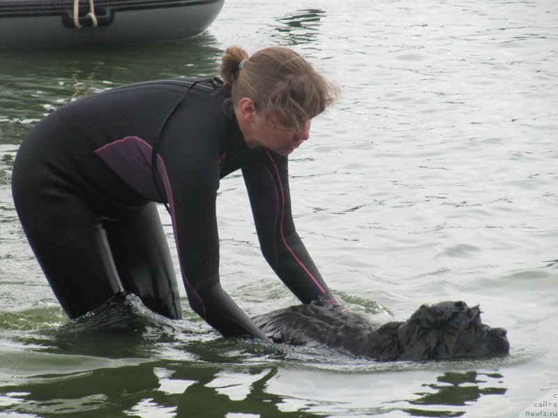 Фотография № 237892