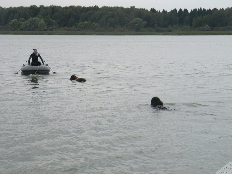 Фотография № 237893