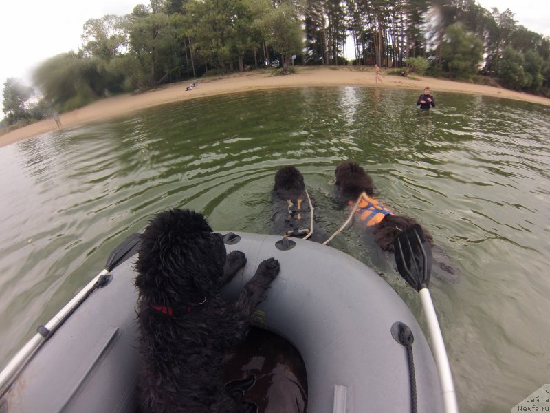 Фотография № 237895