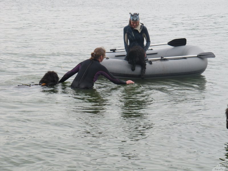 Фотография № 237896