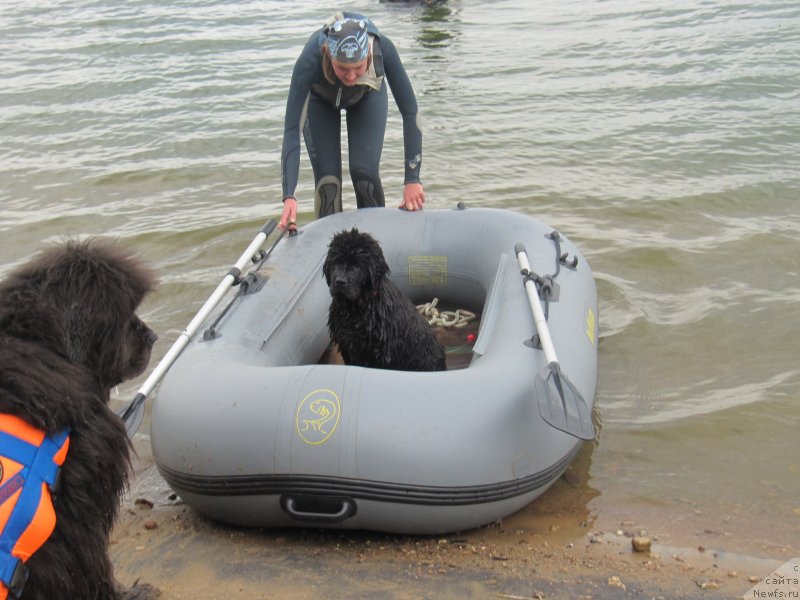 Фотография № 237907