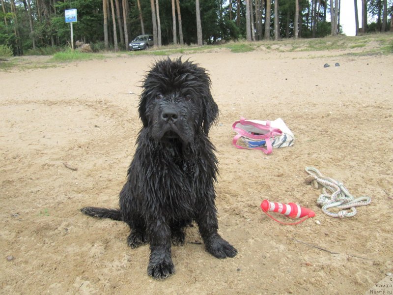 Фотография № 237911