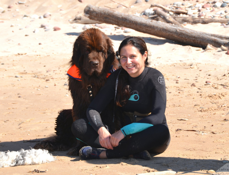 Фотография № 237914