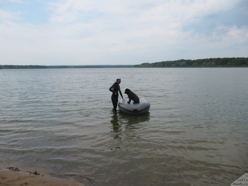 Фотография № 237915