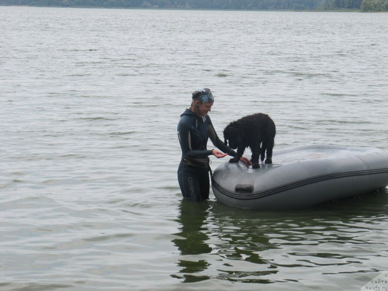 Фотография № 237916