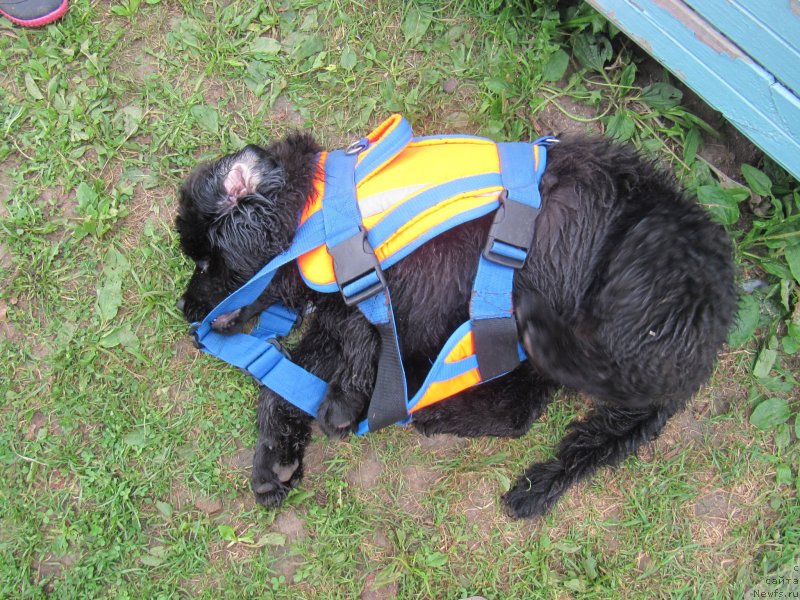 Фотография № 237921