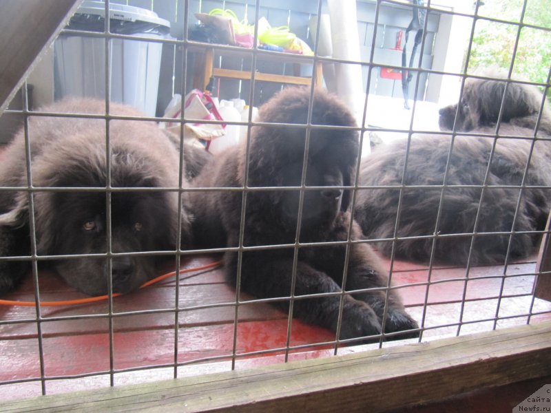 Фотография № 237928