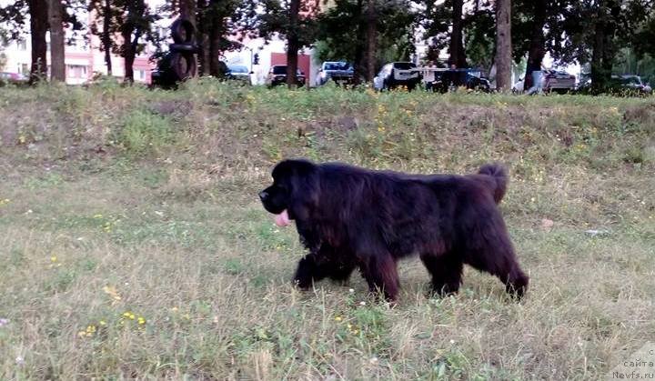 Фотография № 237942