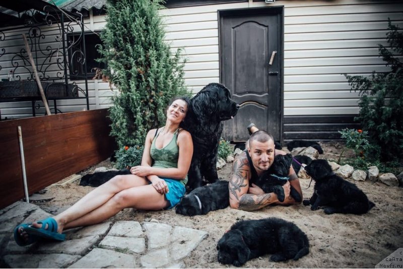 Фотография № 237943