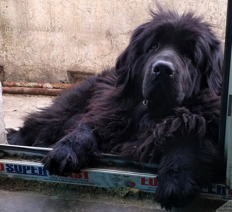 Фотография № 237945