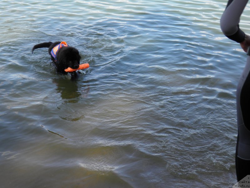 Фотография № 237947