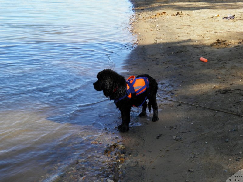 Фотография № 237948