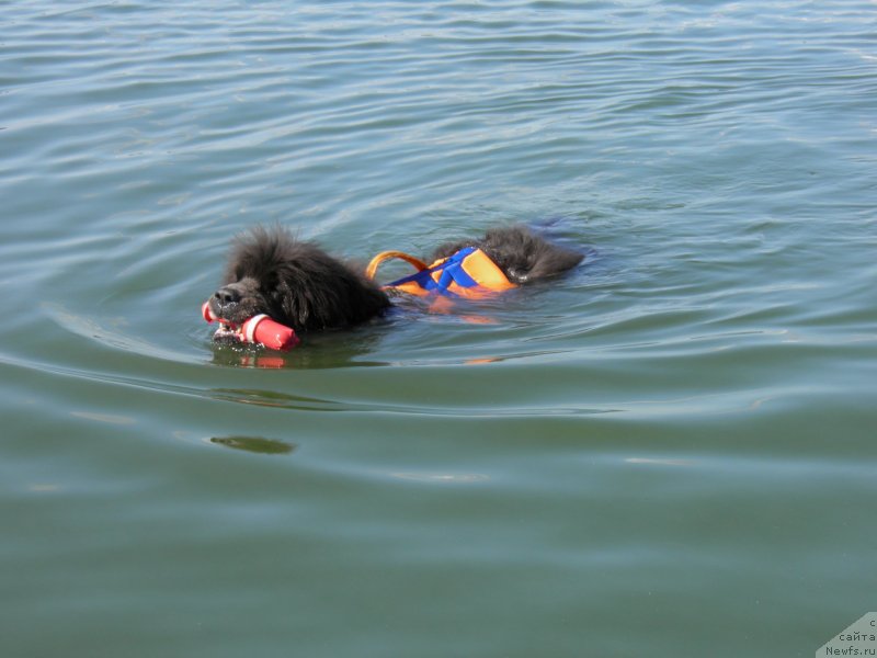 Фотография № 237950