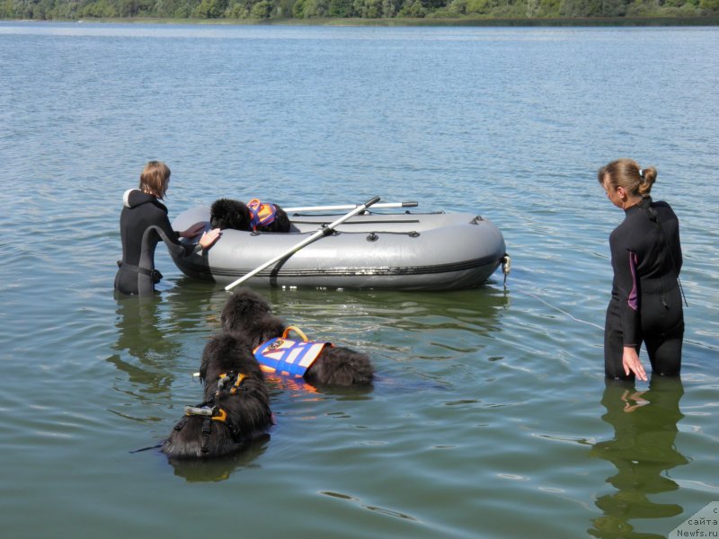 Фотография № 237951